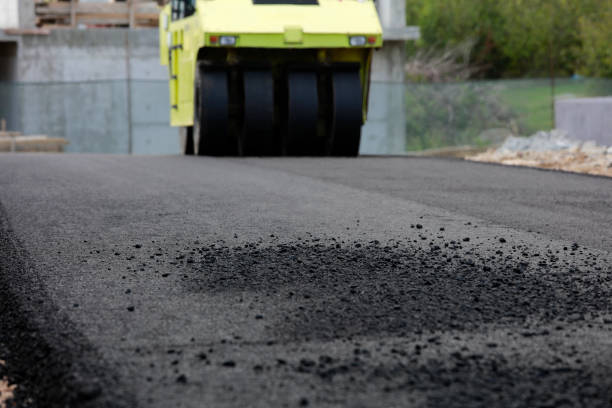Best Custom Driveway Pavers  in Omaha, NE