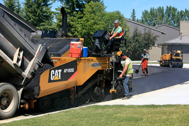 Best Interlocking Driveway Pavers  in Omaha, NE